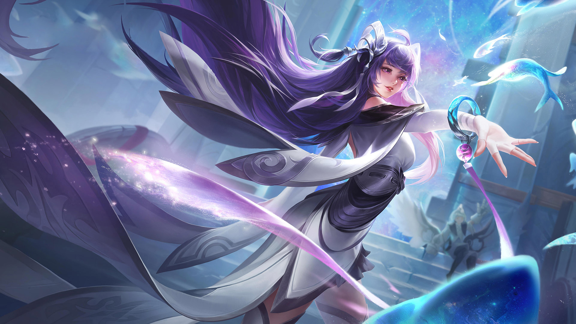 由市场的补 由市场的补