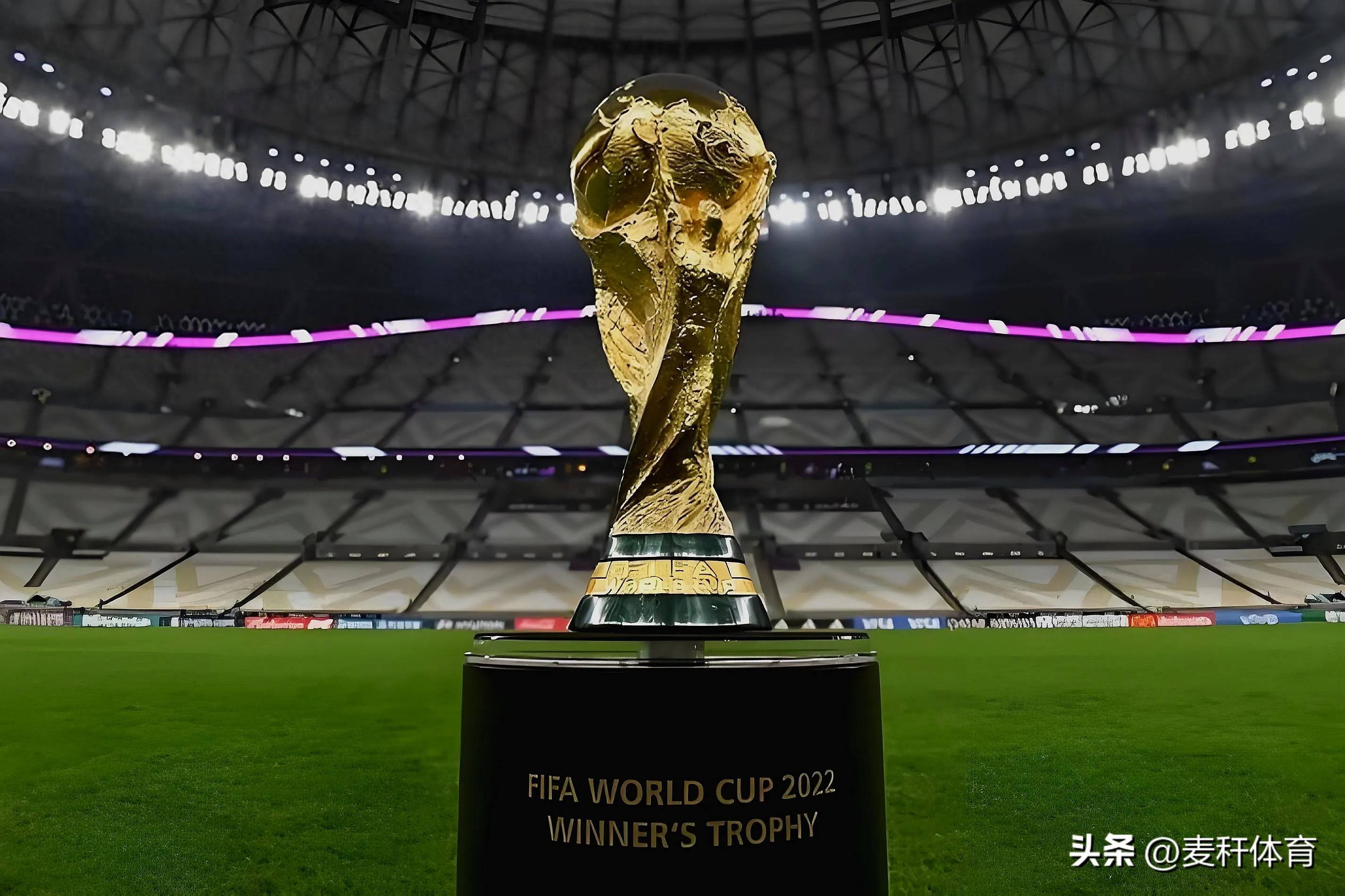 柳雅欣用实 柳雅欣用实