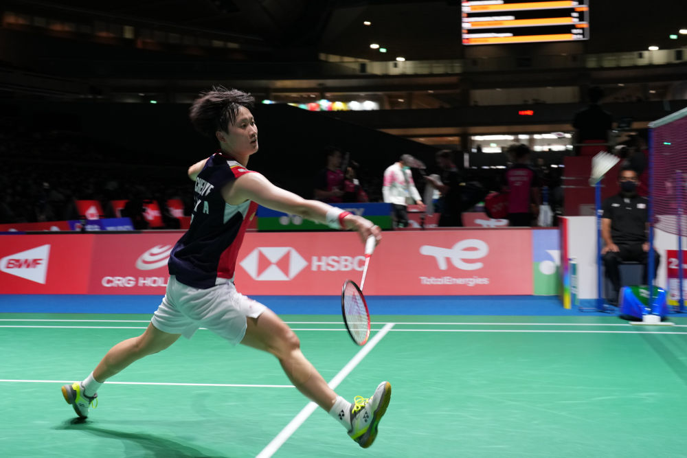 泳坛的发展 泳坛的发展